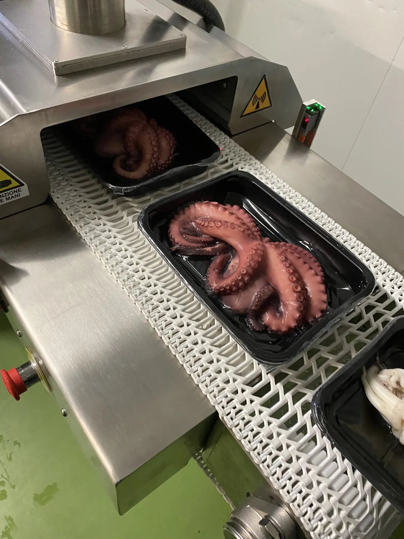 WL8 cooking and pasteurisation tunnel