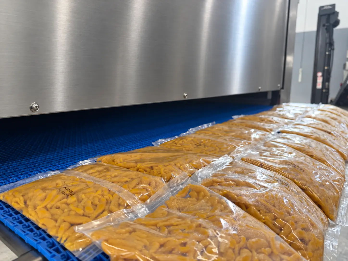 Prodotti alimentari confezionati sul nastro del tunnel MIT